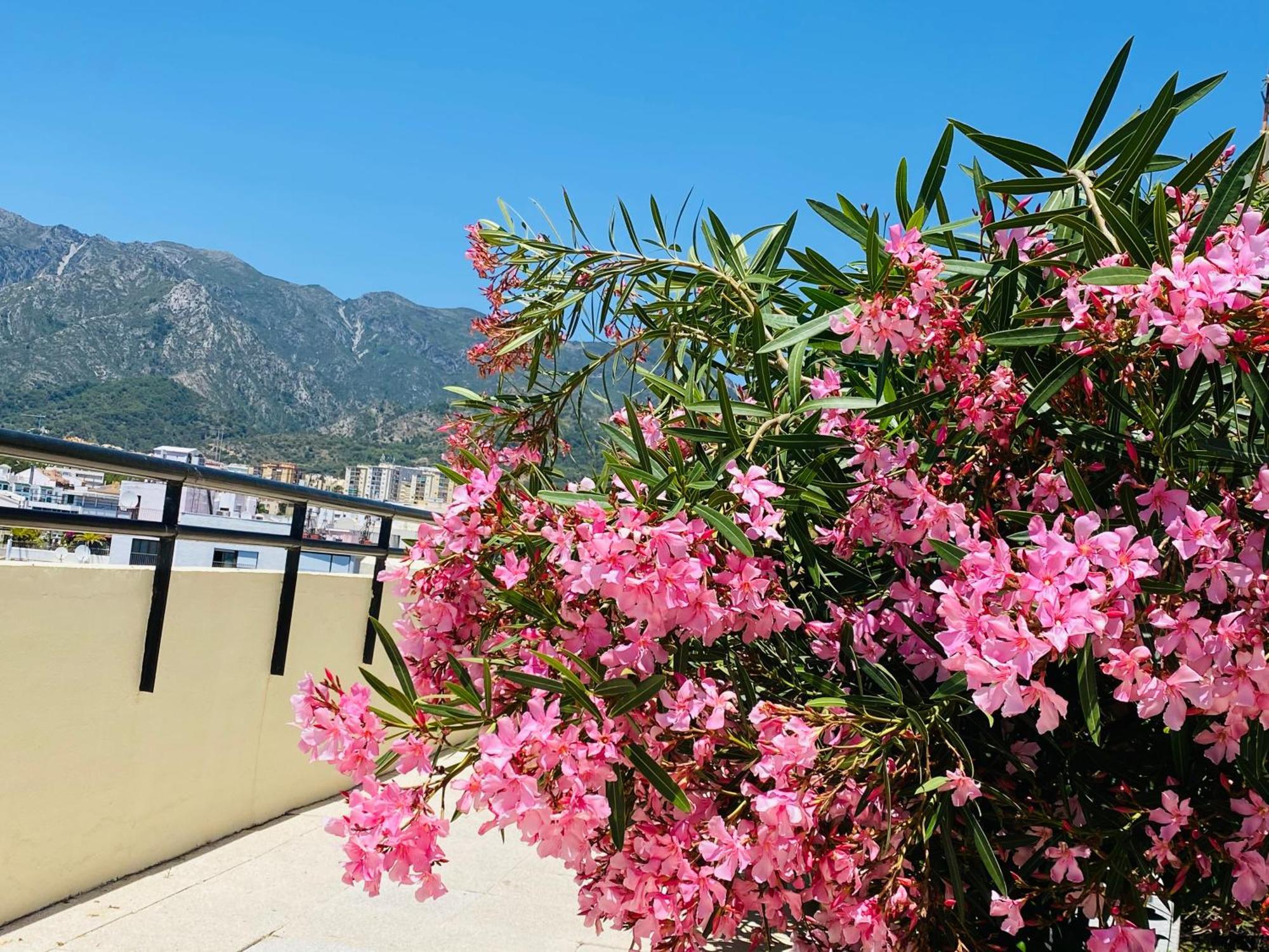 Apartment On The First Line Of The Sea With A View And Free Parking Marbella Exterior photo